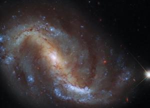 Расстояние в 24 млн световых лет от Земли: телескоп Хаббл сфотографировал галактику в созвездии Журавля (фото)