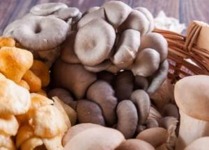 Врачи назвали простой и доступный источник витамина D