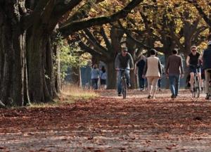 Выходные в октябре-2020: сколько будем отдыхать