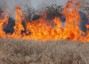 Под Киевом в сгоревшей траве нашли тело мужчины