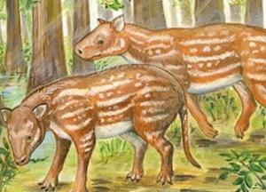 Ученые нашли возможного предка лошадей и носорогов