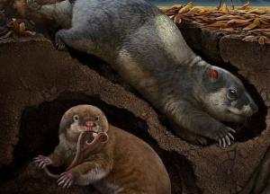 Ученые нашли неизвестные ранее виды животных, которые жили в Китае 120 млн лет  (фото)