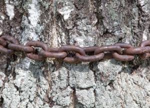 В Днепре мужчину решили проучить за педофилию: таcкали на цепи и приковали к дереву