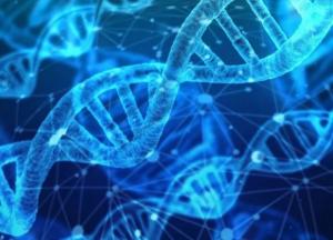 В ДНК людей нашли следы загадочного существа