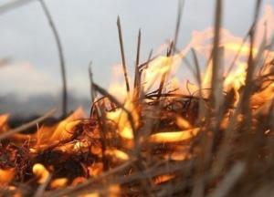 ГСЧС предупреждает о чрезвычайной пожароопасности