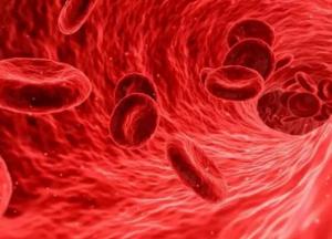 Врачи рассказали о продуктах, повышающих гемоглобин в крови