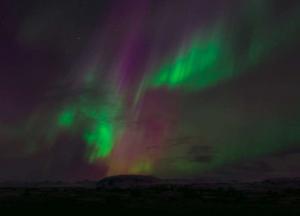 Ученые разгадали загадку красного хвоста фазана в небе над Японией