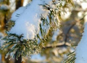 Прогноз погоды на 22 января: в Украине – снег, солнце и мороз