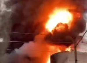 Запаси соняшникової олії женевської компанії розбомбили на Одещині, дорогами течуть річки олії (відео)