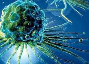 Ученые определили виды рака, которые передаются по наследству 