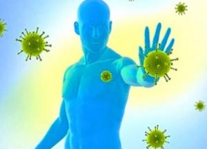Ученые назвали три продукта, помогающие противостоять коронавирусу