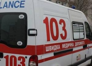 В Днепре умер двухлетний малыш, которого растерзали домашние овчарки