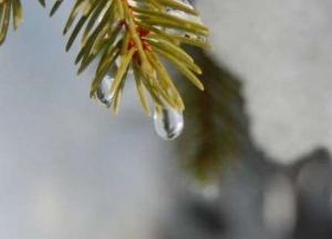 Прогноз погоды на 25 февраля: вместо морозов и снега – солнце