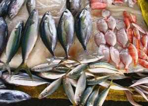 Специалисты рассказали, какая рыба считается наиболее полезной для организма