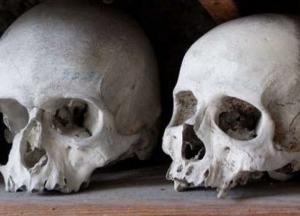 В затопленных мексиканских пещерах обнаружили четыре загадочных черепа 