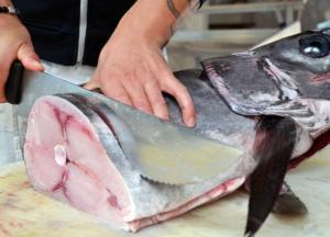 Медики назвали самую полезную рыбу 