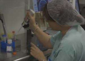 Впервые удалось «создать жизнь» из искусственной клетки