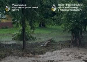Селі в Україні: що це таке, як формуються та де несуть найбільшу небезпеку