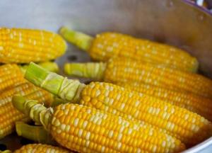Медики назвали полезные свойства кукурузы для здоровья