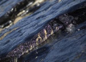 В Черном море произошел разлив нефтепродуктов (видео)