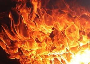 В Одесской области горела заброшенная база отдыха (видео)