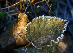 Прогноз погоды на 30 октября: холодно, ночью заморозки (карта)