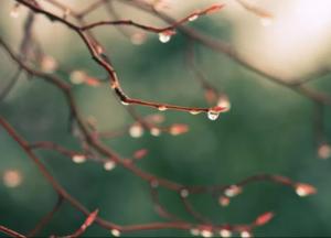 Прогноз погоды на 18 декабря: зима продолжает преподносить сюрпризы 