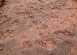 Археологи нашли «танцпол динозавров»