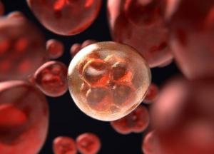 Открыт новый механизм развития рака