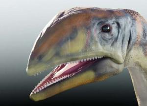 В Гренландии нашли новый вид динозавров: останки возрастом 214 миллионов лет