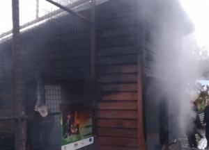 В Луцке горел зоопарк: погибли животные