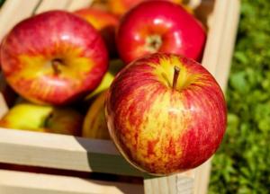 Названы продукты, повышающие энергию