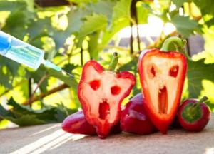 Медики назвали самые опасные ГМО продукты