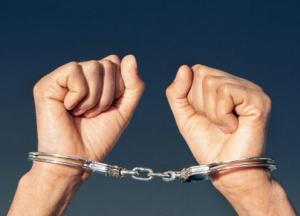 В Киеве полиция ловила голого неадеквата, откусившего палец отцу (видео)