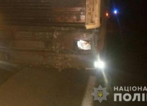 На трассе Киев-Одесса грузовик насмерть сбил мужчину
