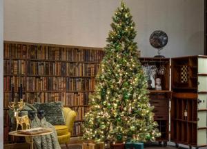 Стиль і пропорції: як підібрати ялинку під розмір і характер інтер’єру