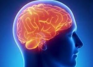 Врачи назвали продукты, которые ухудшают работу мозга