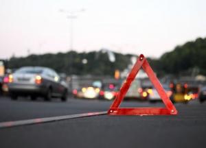 В Херсонской области микроавтобус насмерть сбил мать с 9-летней дочерью