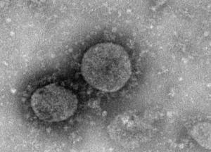 В Гонконге заявили о создании вакцины против коронавируса