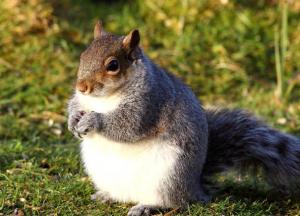 Начало конца: ученые рассказали о жутких проявлениях глобального потепления