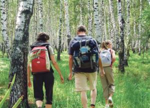 Как уберечься от клещей в лесу: важные советы