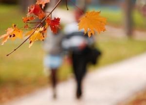 Два температурных рекорда зафиксировано в Киеве