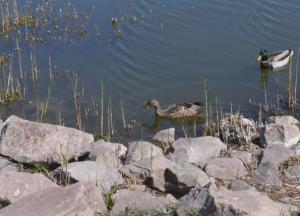 На карантинные выходные снег с дождем и весеннее солнце
