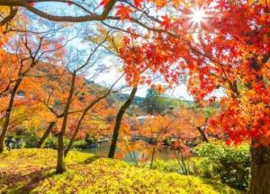 Аномальное тепло: синоптики изменили прогноз погоды на ноябрь