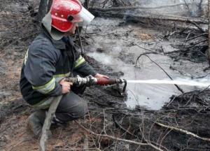 Несмотря на дожди в субботу, в Житомирской области все еще продолжают тушить пожары (видео)