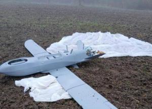 Другий день поспіль: у Туреччині знову впав російський розвідувальний дрон