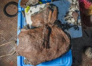 В Египте археологи нашли корзину с фруктами возрастом 2400 лет