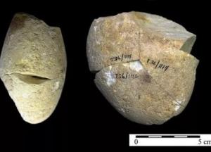 Археологи обнаружили в Израиле загадочный инструмент, которому 350 тыс. лет (фото)
