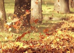 Прогноз погоды на 19 ноября: на востоке будет мороз, на западе и юге – штормовой ветер