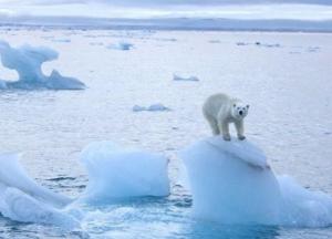 Из-за глобального потепления море в Арктике впервые не замерзло 
